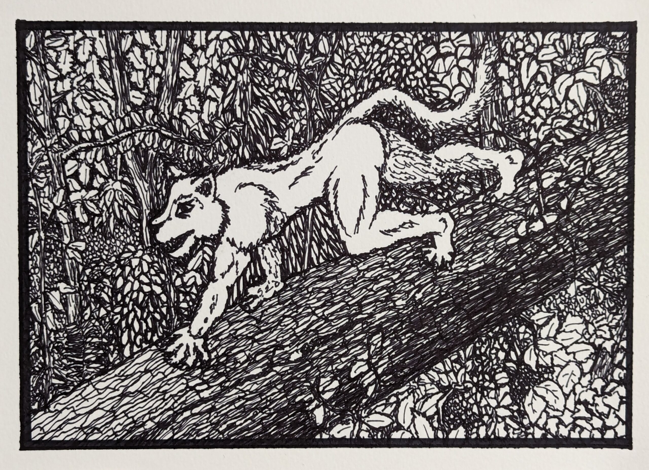 Alabama White Thang crawling across a felled tree. Artist rendering in pen and ink