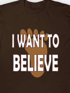 I want to believe bigfoot print tee